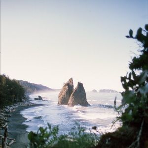 Meet your Posher, Tae